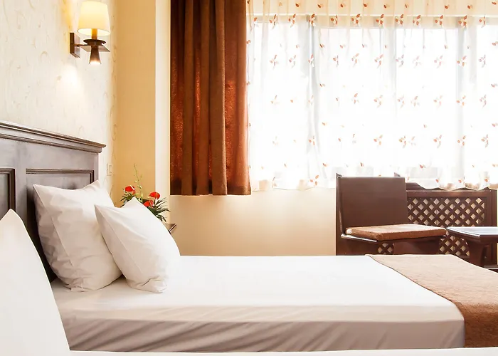 إنترناشيونال سيتي سنتر فندق