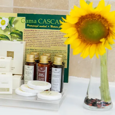 International Centre ホテル ブカレスト