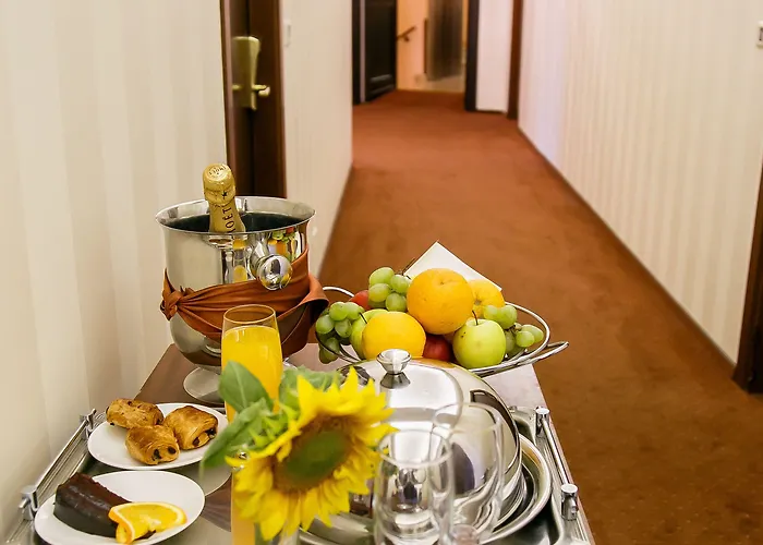 国际布加勒斯特市中心酒店 4*