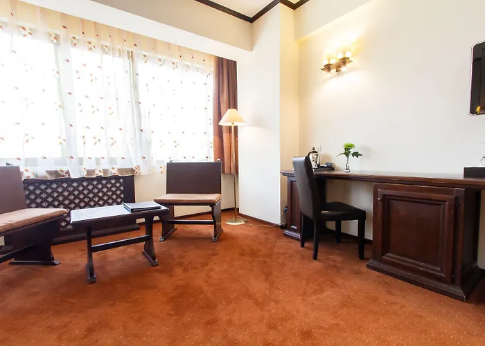 酒店 国际布加勒斯特市中心酒店