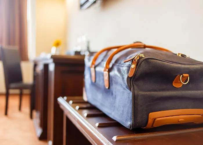 国际布加勒斯特市中心酒店 4*