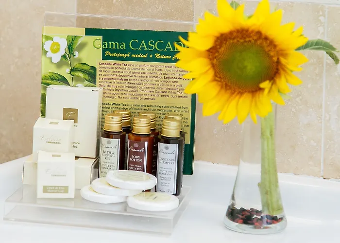 인터내셔널 시티 센터 호텔 부쿠레슈티